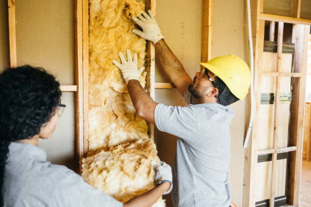 Insulation Contractors for Homes in Kahuku, HI